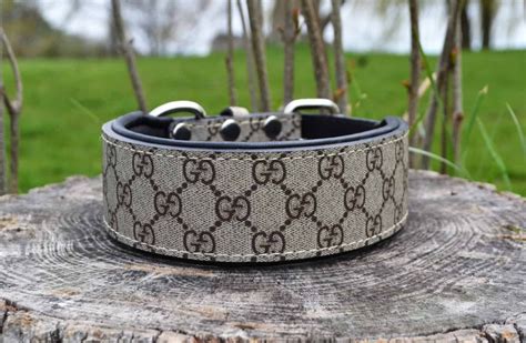 prada gold dog collar|best designer dog collar.